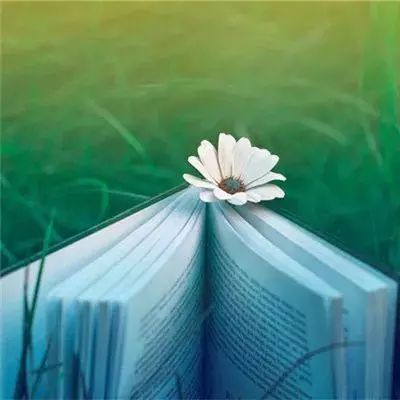 统一三国志破解版下载
