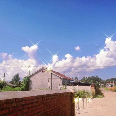 五农争霸手游官方版下载